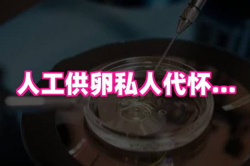 安徽助孕网 3
